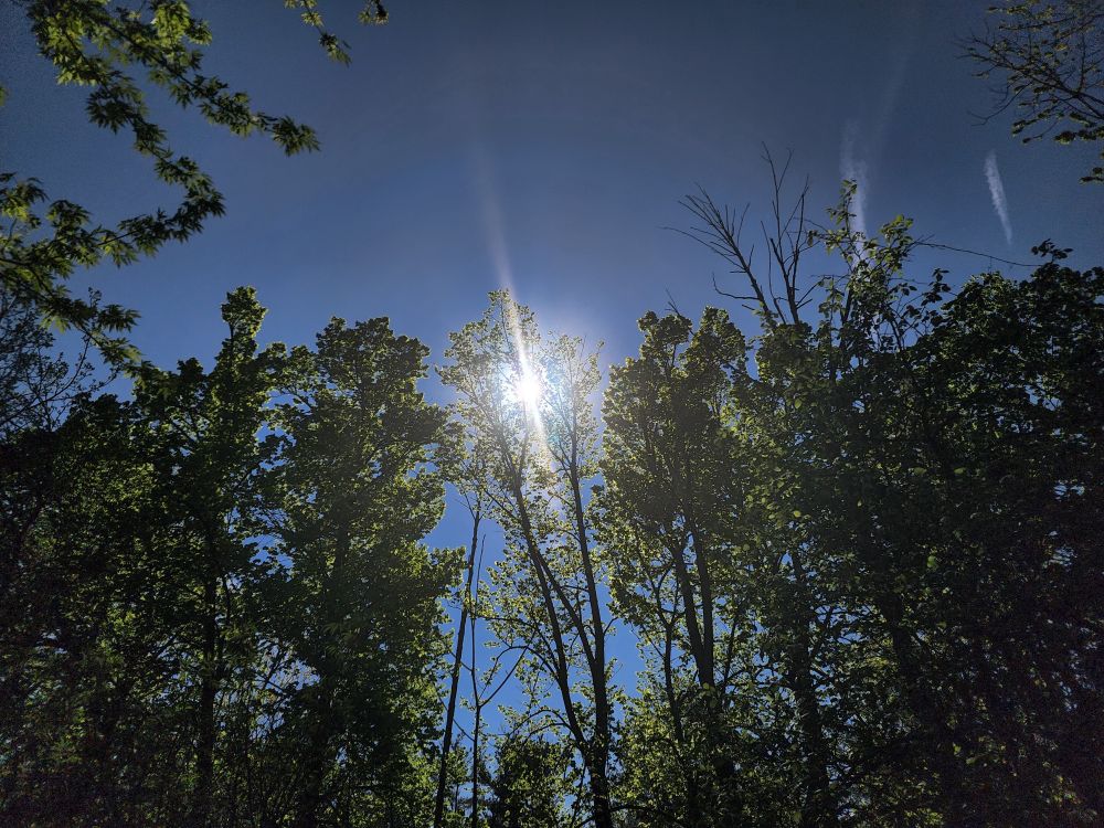 gnarlymarbles OnlyFans Model Account Profile - photos, videos, social