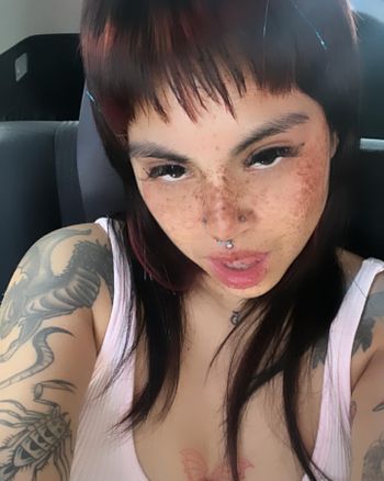 TOP OnlyFans models in Broward - Best Girls Accounts